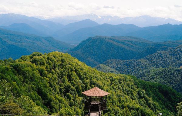 Погружение в горную Адыгею: Даховская панорама, Парящая беседка, Крепости Меот, спа-комплекс «Благодать»